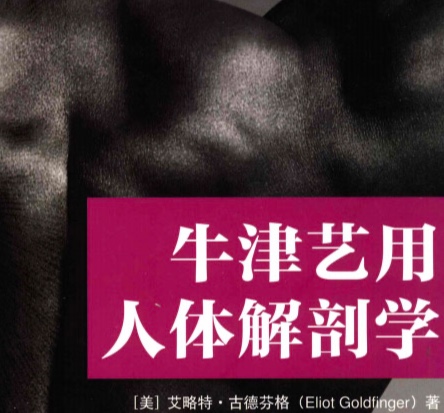 非常推荐的一本艺用解剖书《牛津艺用人体解剖》